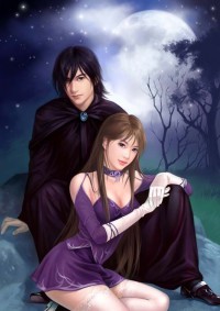重生之夫荣妻贵